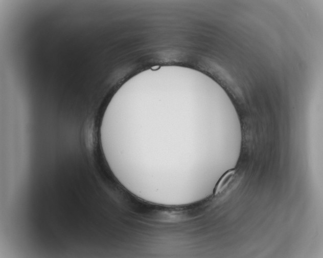 X0000101700164200807311439