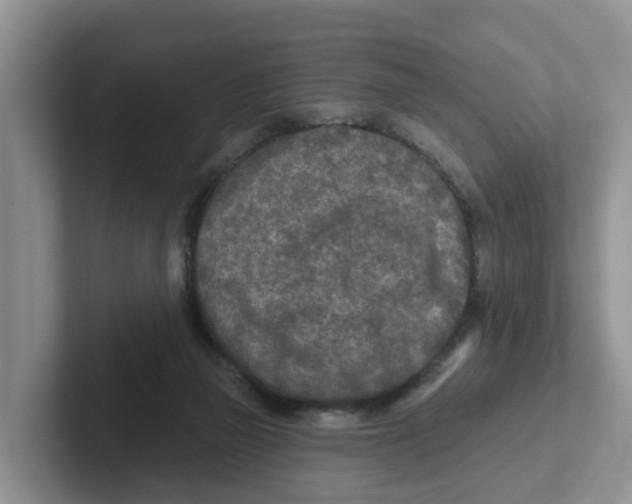 X0000101700165200807311439