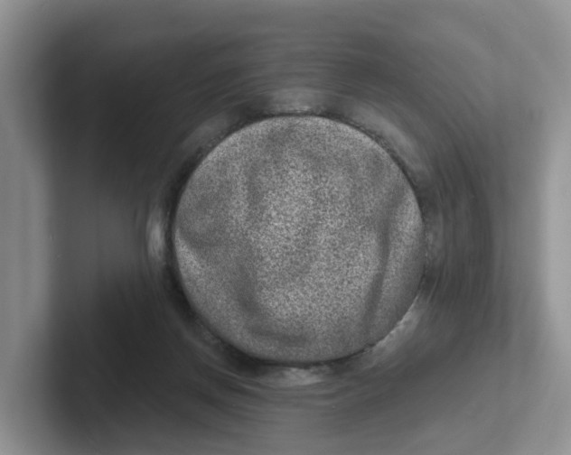 X0000101700166200807311439