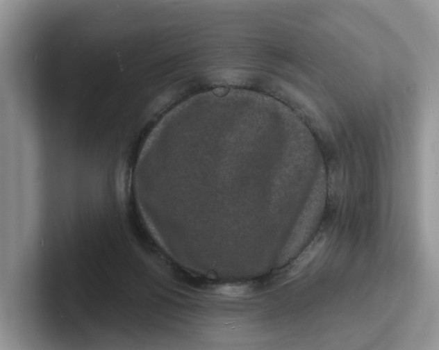 X0000101700168200807311439
