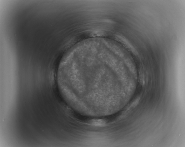 X0000101700169200807311439