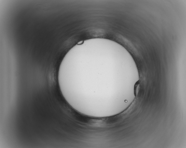 X0000101700170200807311439