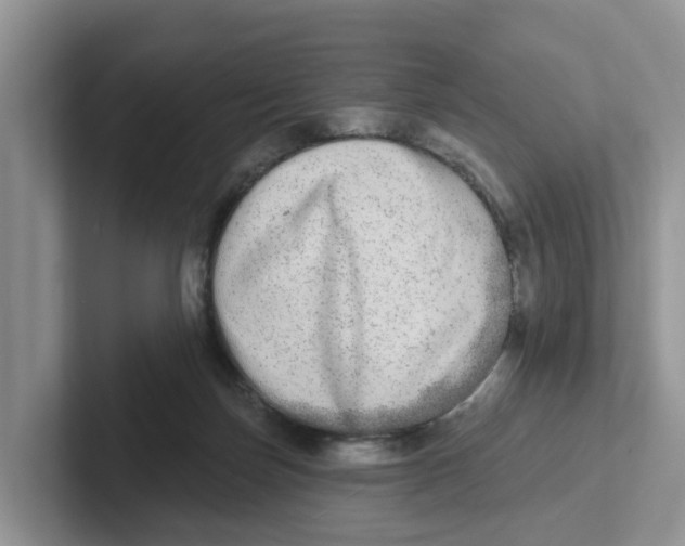 X0000101700171200807311439