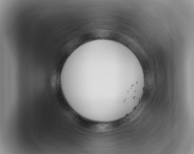 X0000101700172200807311439
