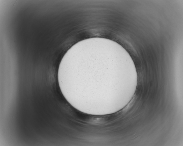 X0000101700174200807311439