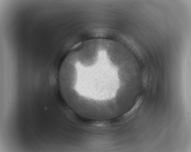 X0000101700175200807311439