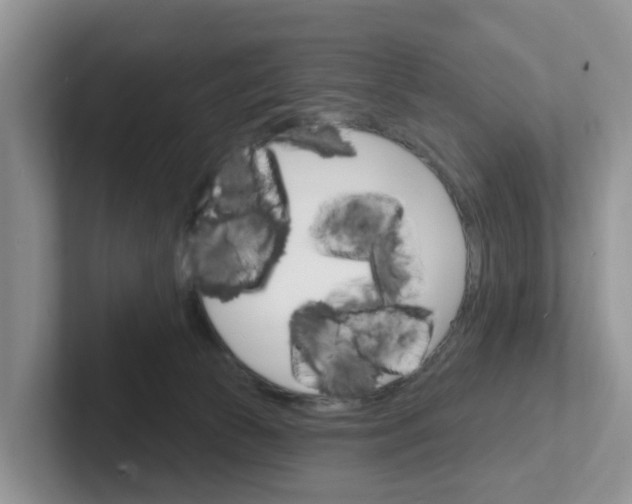 X0000101700177200807311439
