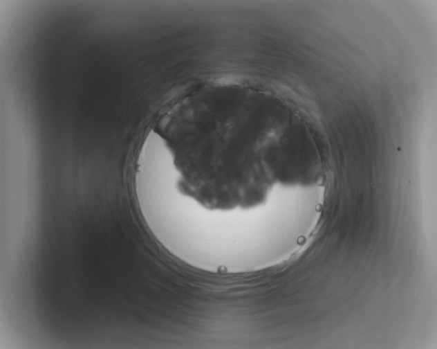 X0000101700179200807311439