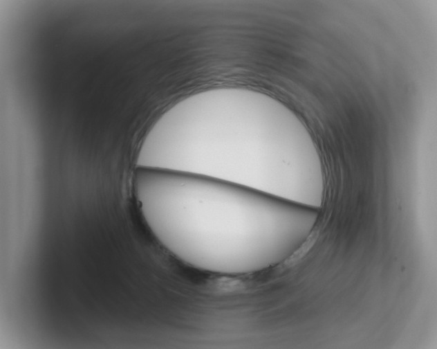 X0000101700180200807311439