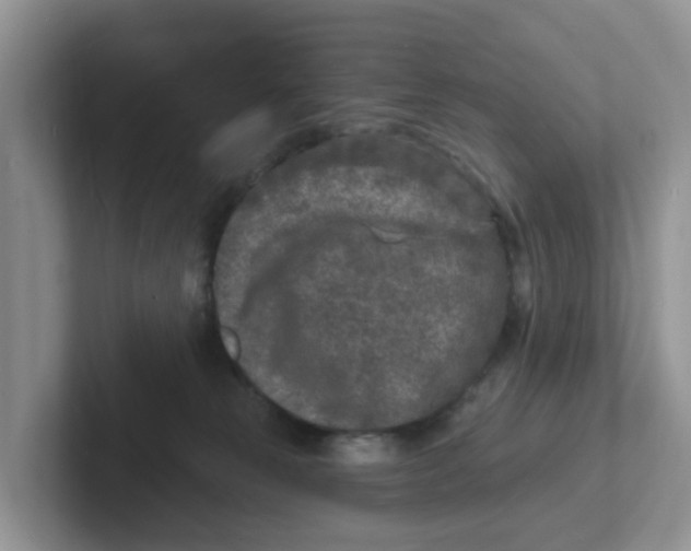X0000101700181200807311439