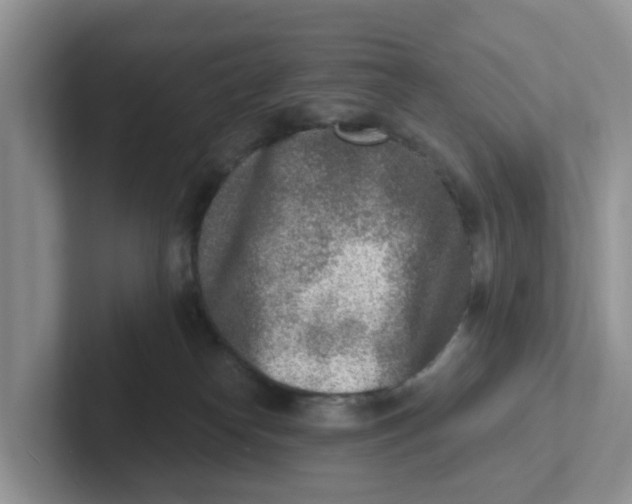 X0000101700182200807311439