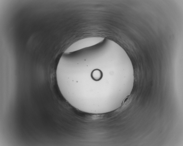 X0000101700184200807311439