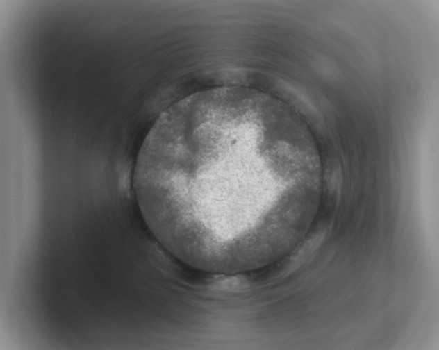 X0000101700185200807311439