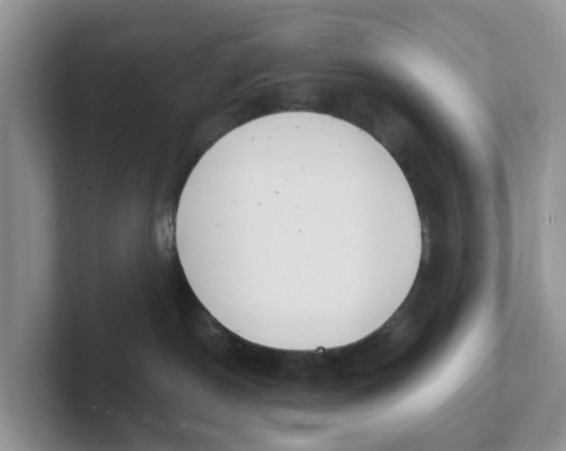 X0000101700190200807311439