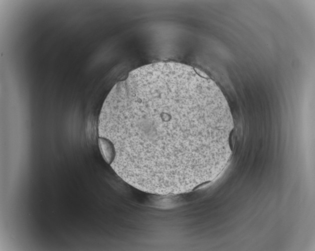X0000101700191200807311439