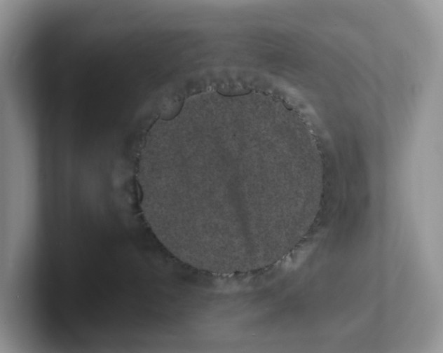 X0000101700192200807311439