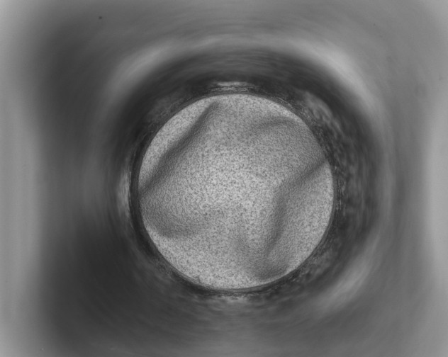 X0000101700194200807311438