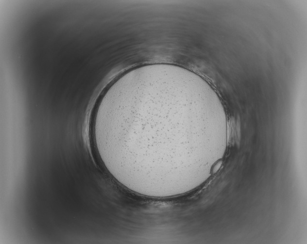 X0000101700195200807311438
