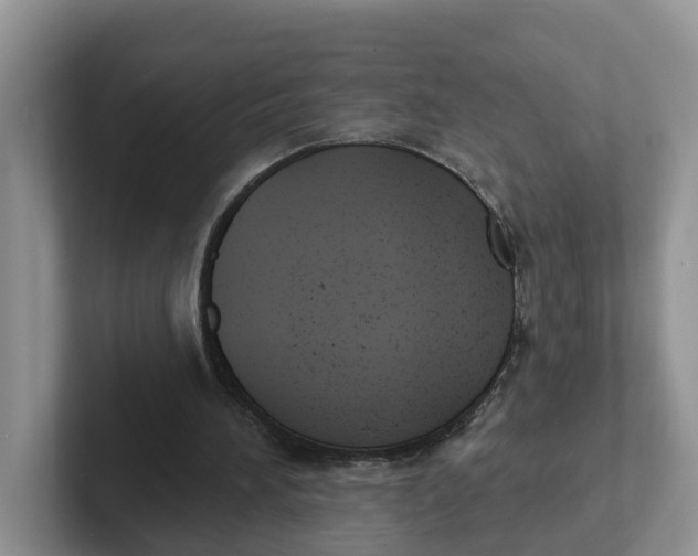 X0000101700196200807311438