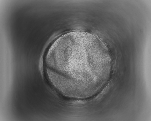 X0000101700198200807311438
