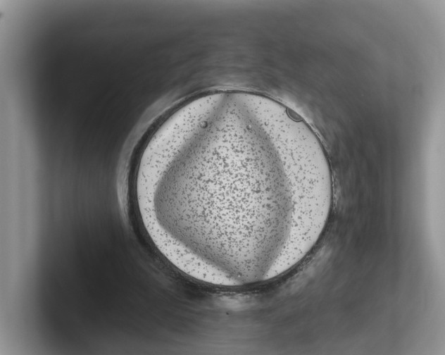 X0000101700199200807311438