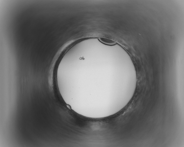 X0000101700200200807311438