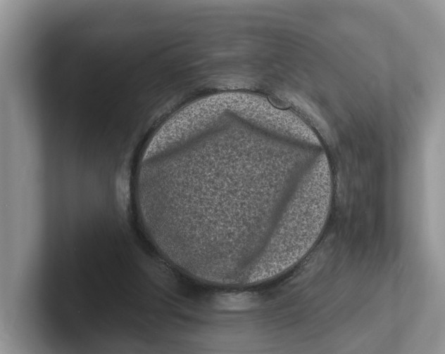 X0000101700202200807311438