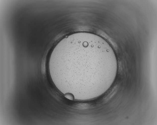 X0000101700203200807311438