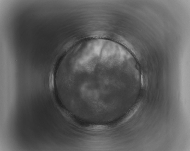 X0000101700205200807311438
