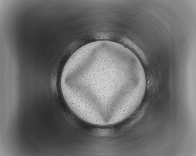 X0000101700209200807311438