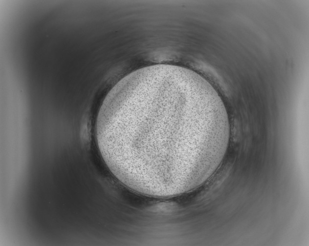 X0000101700210200807311438