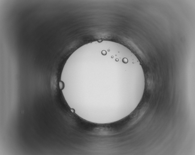 X0000101700211200807311438