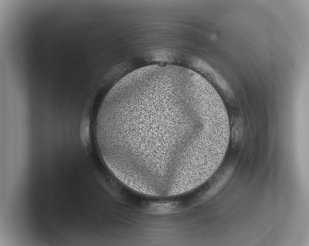 X0000101700213200807311438