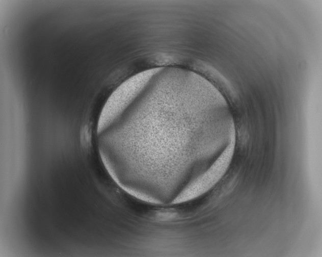 X0000101700214200807311438