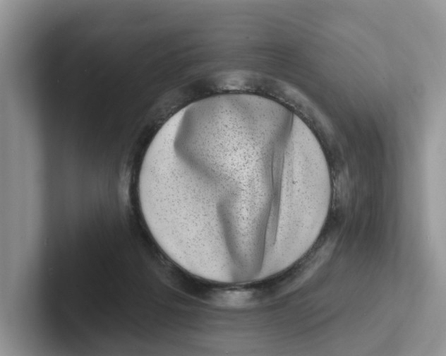 X0000101700217200807311438