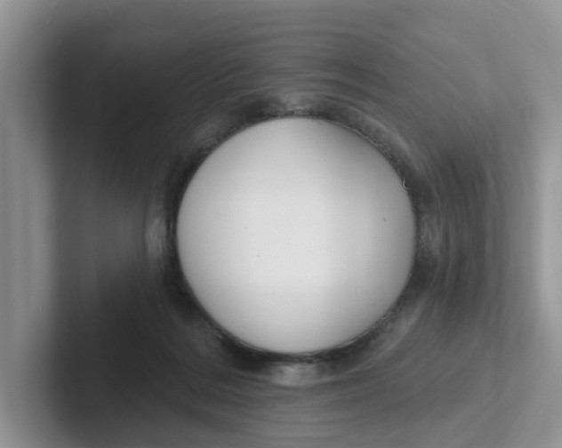 X0000101700220200807311438