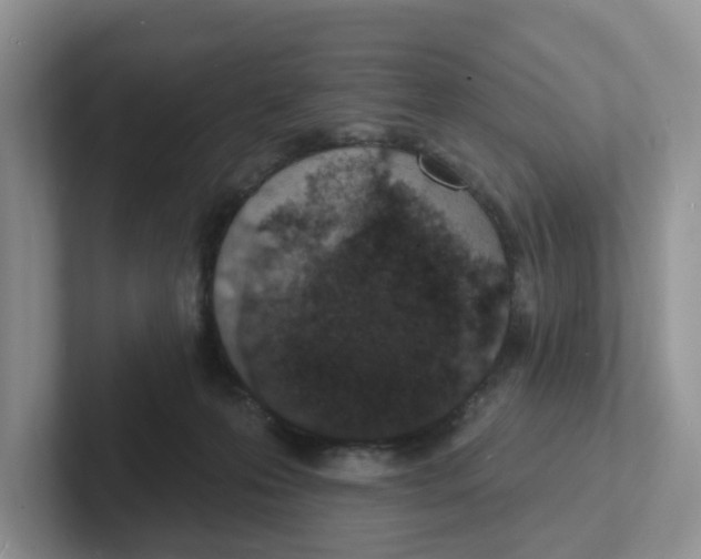 X0000101700223200807311438