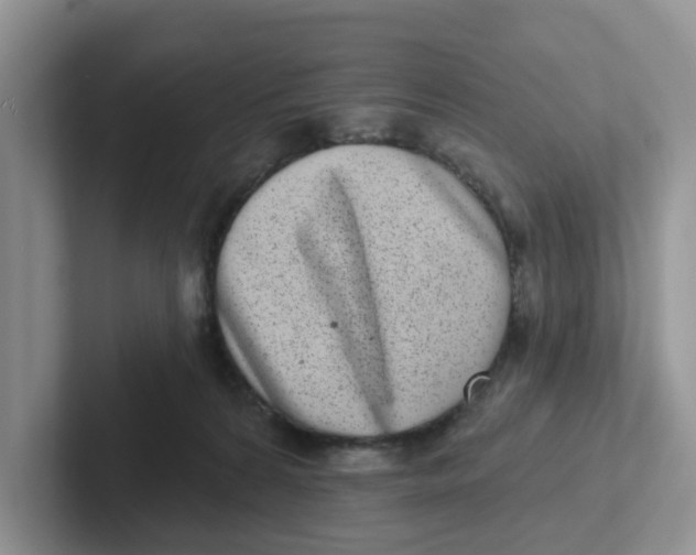 X0000101700224200807311438