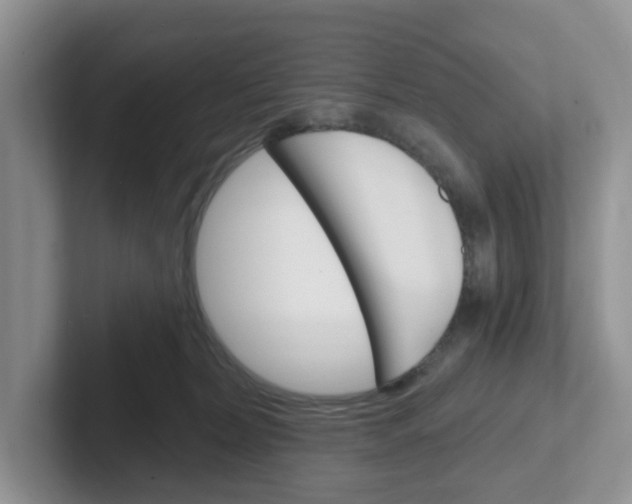 X0000101700228200807311438