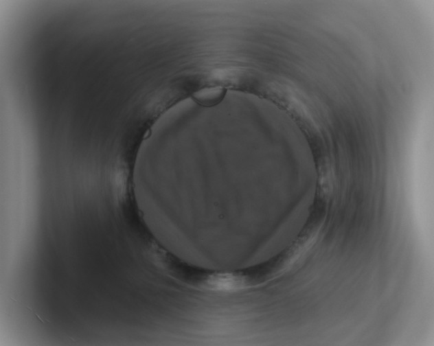 X0000101700231200807311438