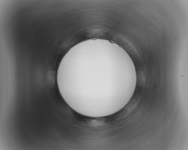 X0000101700232200807311438