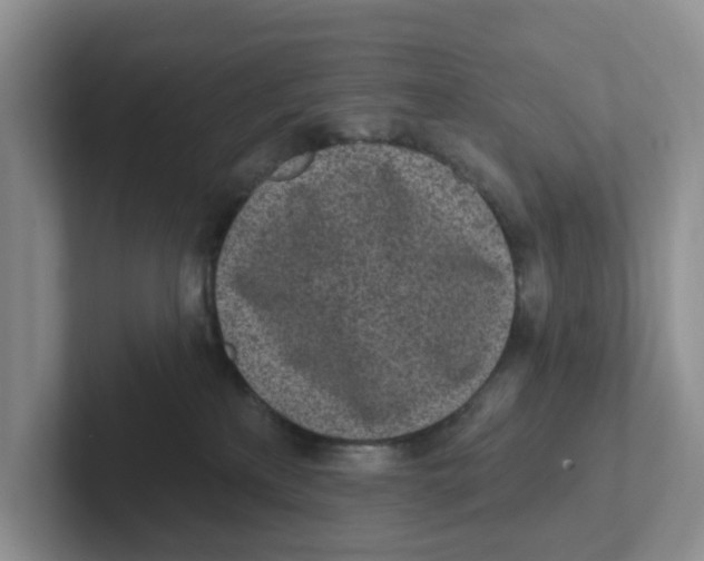X0000101700233200807311438