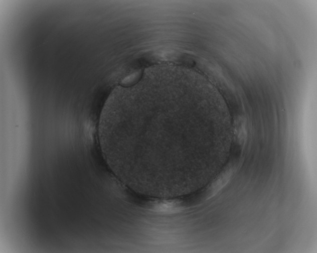 X0000101700235200807311438