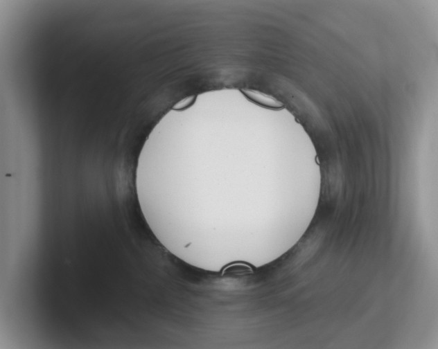 X0000101700236200807311438
