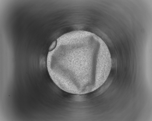 X0000101700238200807311438