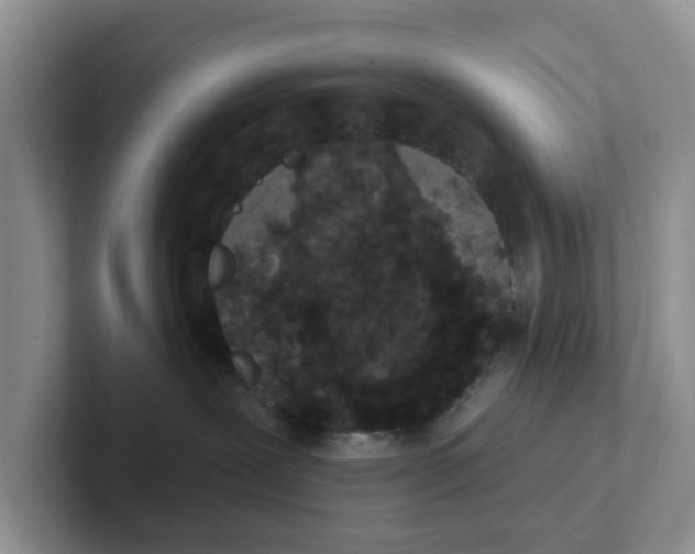 X0000101700239200807311438