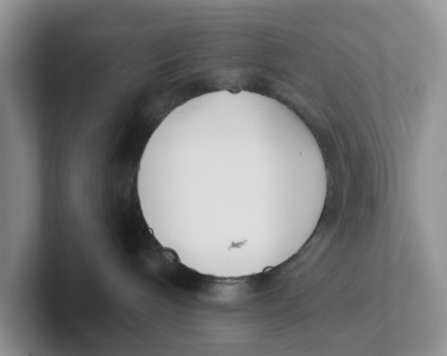 X0000101700240200807311438