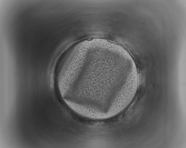 X0000101700243200807311437