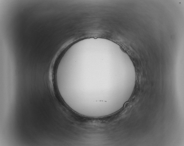 X0000101700244200807311437