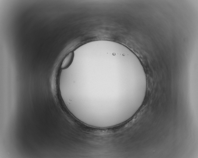 X0000101700245200807311437